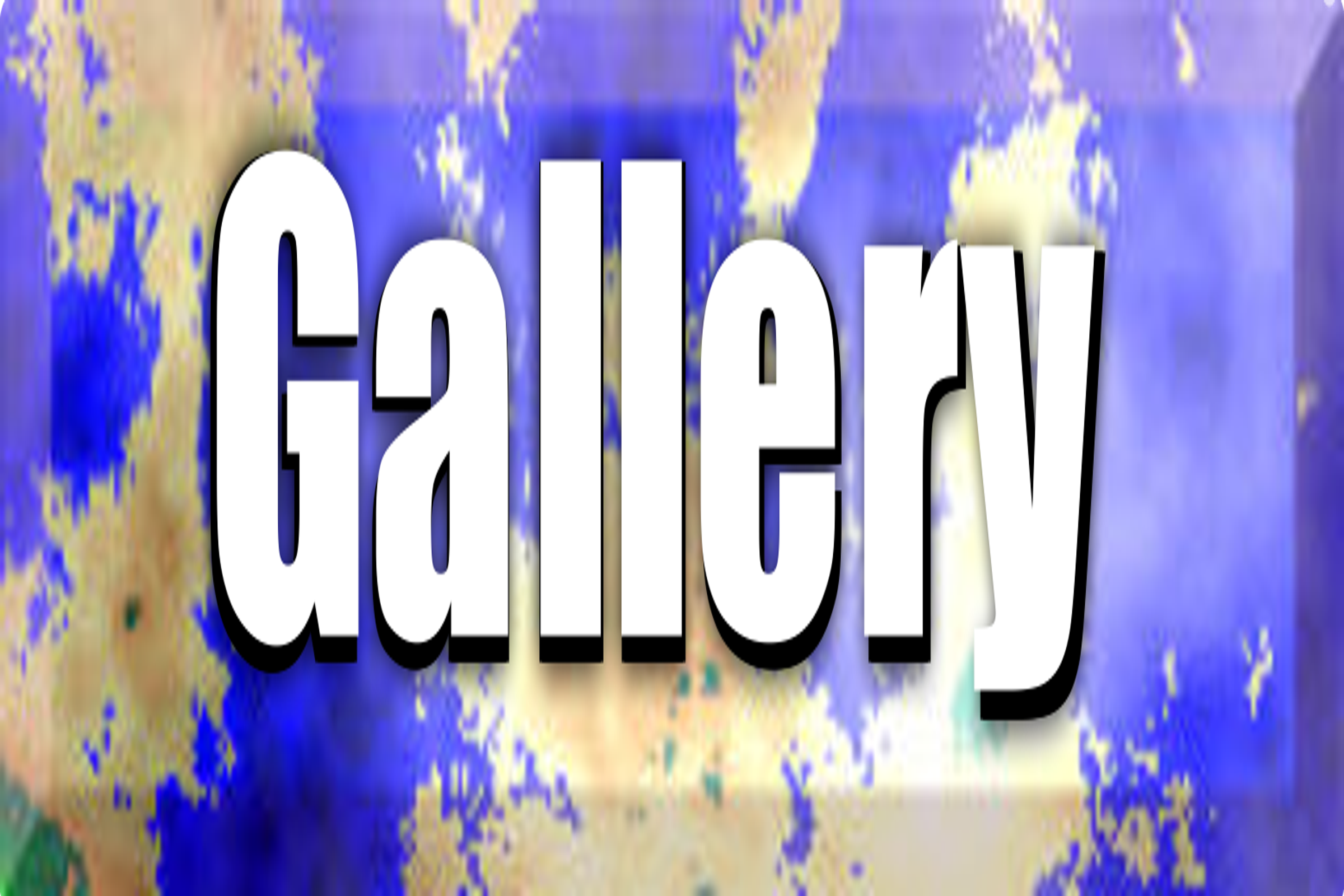 Gallery Button